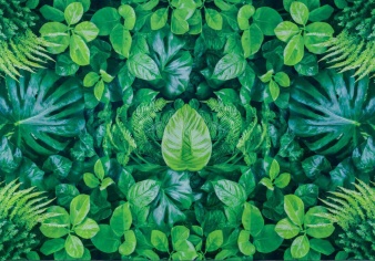 Ковер Optima Flora