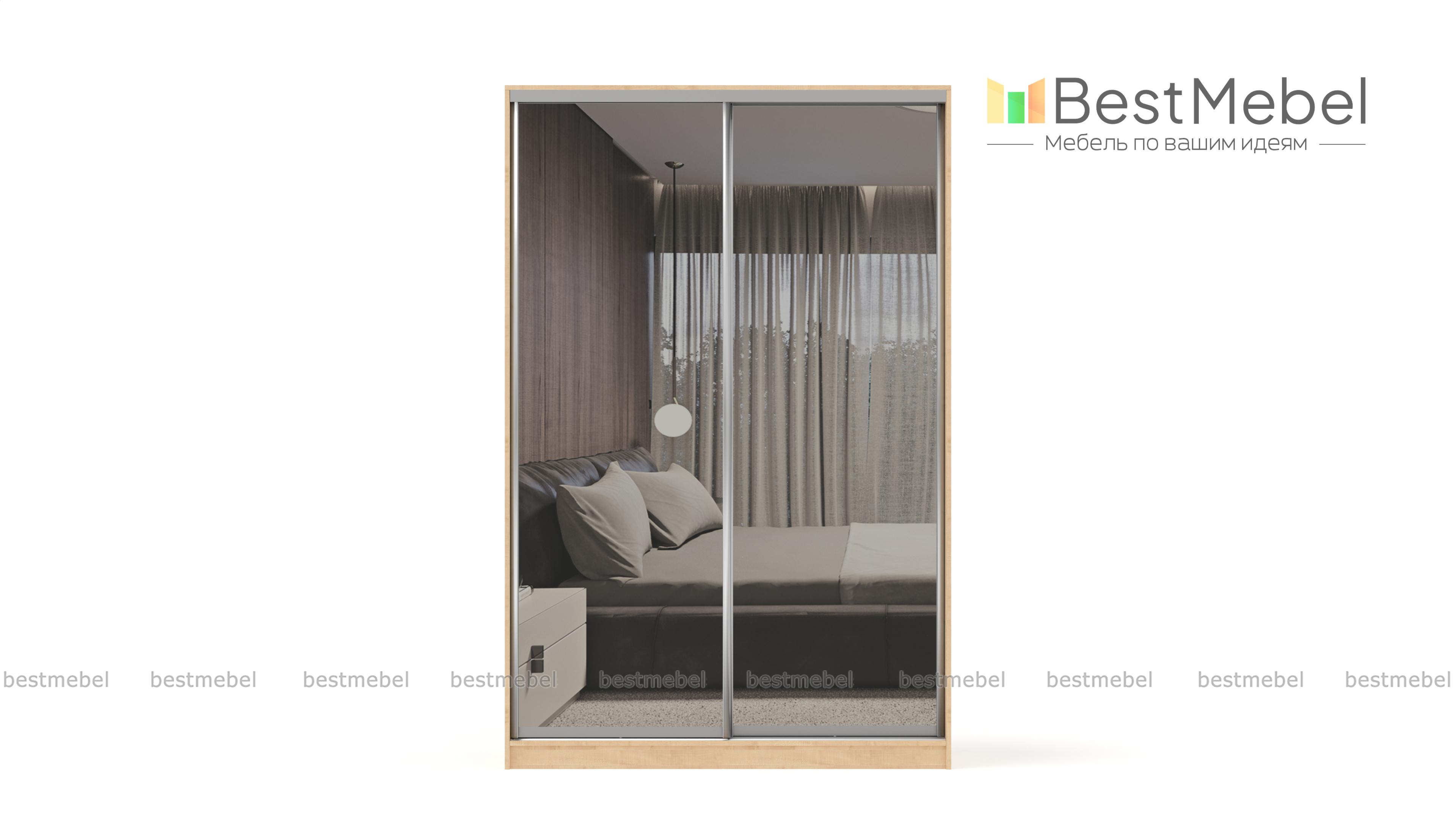 Шкаф-купе Стандарт BMS - Фото