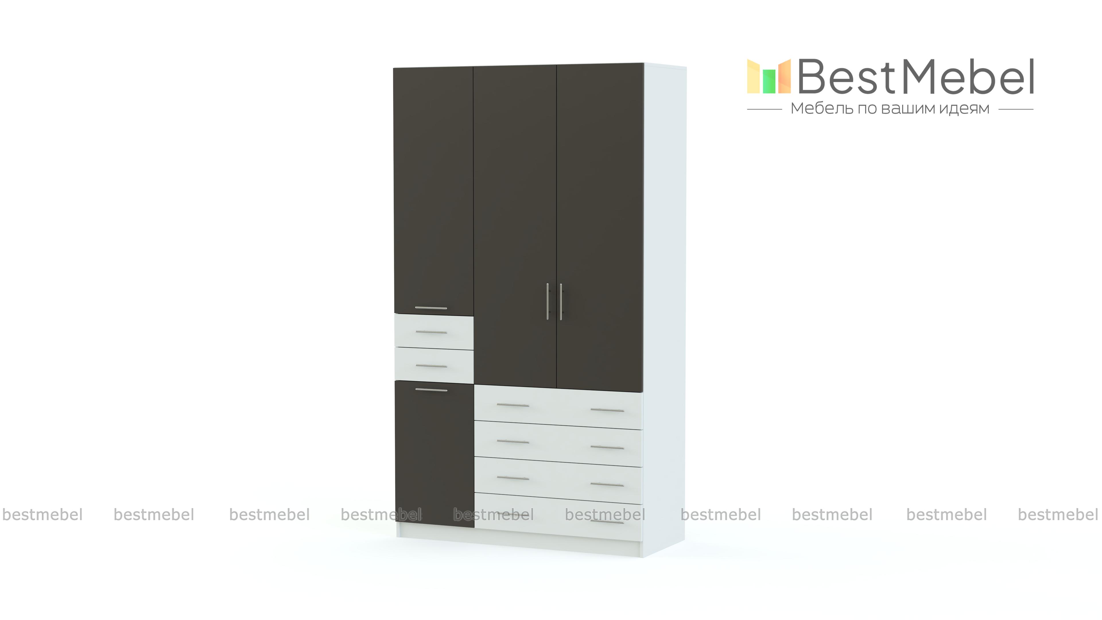 Распашной шкаф Гамма 22 BMS - Фото