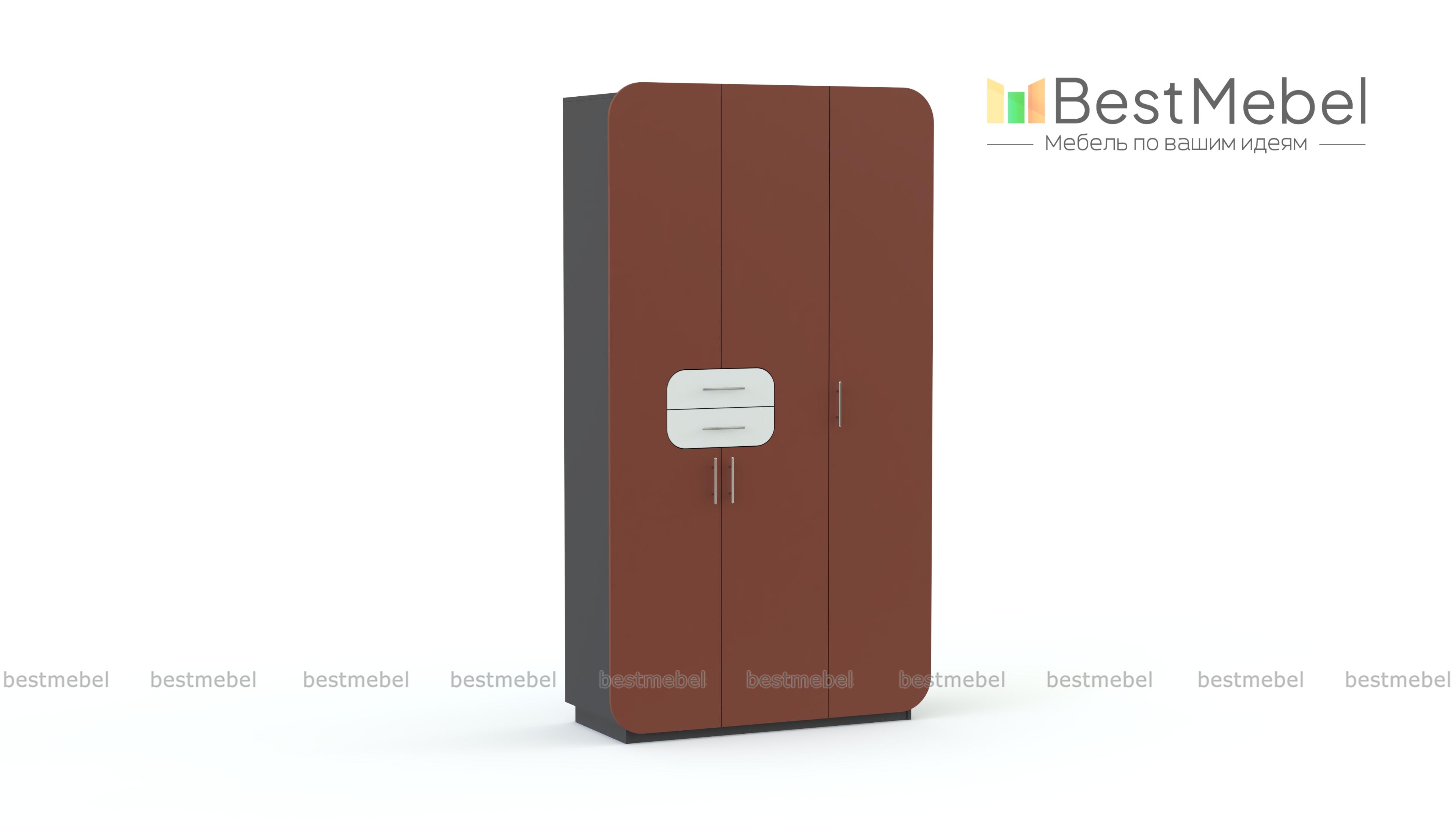 Распашной шкаф Модерно 9.1 BMS - Фото