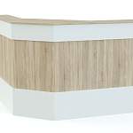 Ресепшен Рейна №13 BMS - Фото 8