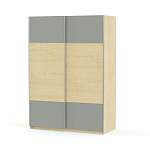 Шкаф-купе D01 225 BMS - Фото 1